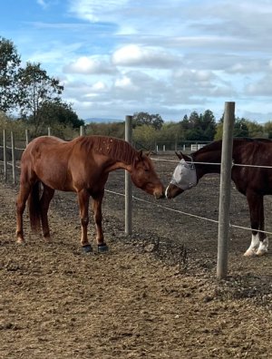 IMG_3060.jpeg IMG_3060.jpeg