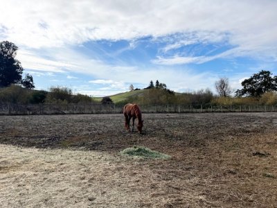 IMG_3006.jpeg IMG_3006.jpeg