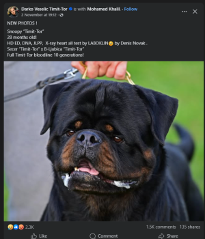 1762333507102.png 1762333507102.png