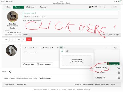 IMG_0244.jpeg IMG_0244.jpeg