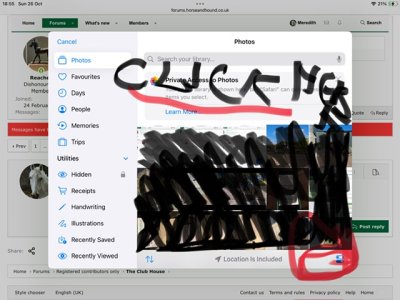 IMG_0245.jpeg IMG_0245.jpeg