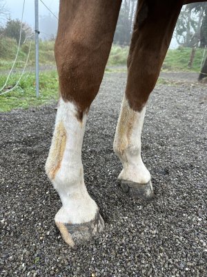 IMG_4837.jpeg IMG_4837.jpeg