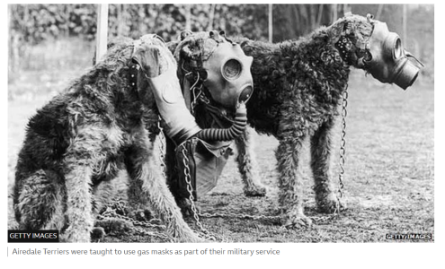 1762522201023.png 1762522201023.png