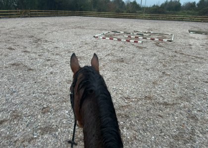 IMG_3521.jpeg IMG_3521.jpeg