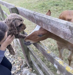 Screenshot 2025-11-08 104221.jpg