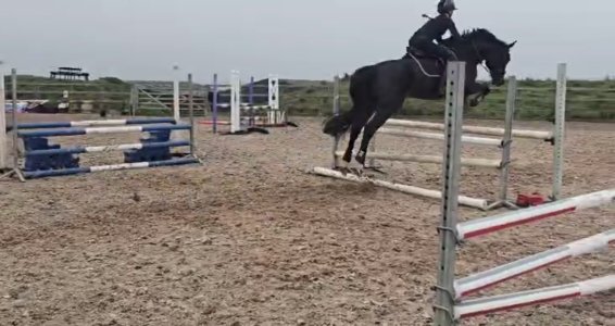 IMG_6053.jpeg IMG_6053.jpeg