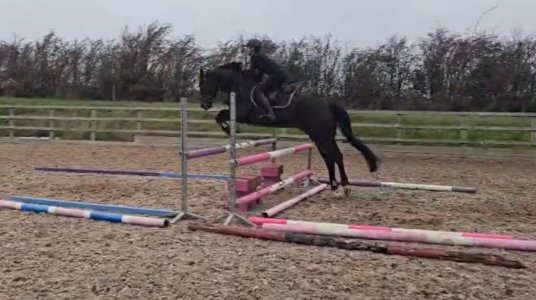 IMG_6056.jpeg IMG_6056.jpeg