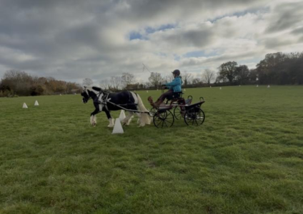 1762702902635.png 1762702902635.png