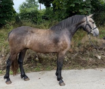 Screenshot_20251109_163026_Facebook.jpg Screenshot_20251109_163026_Facebook.jpg