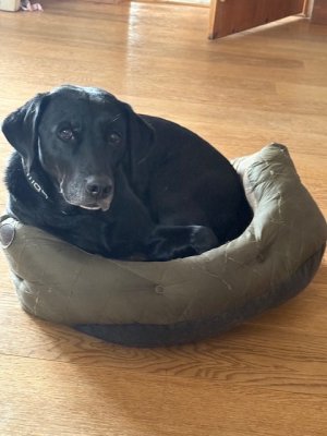 IMG_4174.jpeg IMG_4174.jpeg