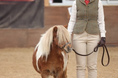 IMG_8237.jpeg IMG_8237.jpeg