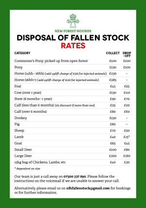 1762864735070.png 1762864735070.png