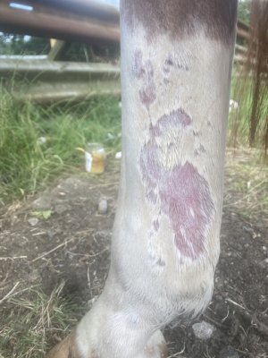 IMG_2574.jpeg IMG_2574.jpeg