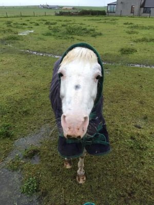 IMG_7874.jpeg IMG_7874.jpeg