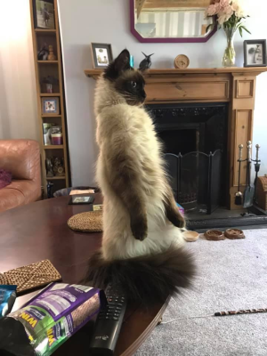 1763133896639.png 1763133896639.png