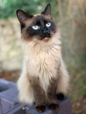 1763134028630.png 1763134028630.png