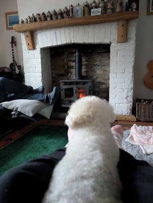 1000022781.jpg 1000022781.jpg