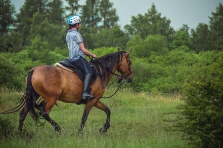 IMG_2329.jpeg IMG_2329.jpeg