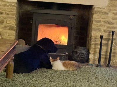 IMG_4485.jpeg IMG_4485.jpeg