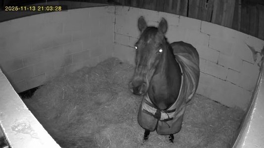 IMG_0209.jpeg IMG_0209.jpeg