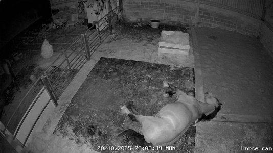 IMG_8066.jpeg IMG_8066.jpeg