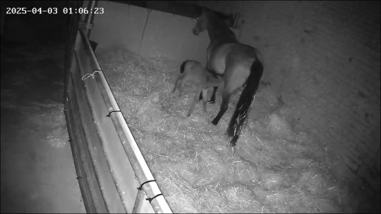 17436351859921.jpg 17436351859921.jpg