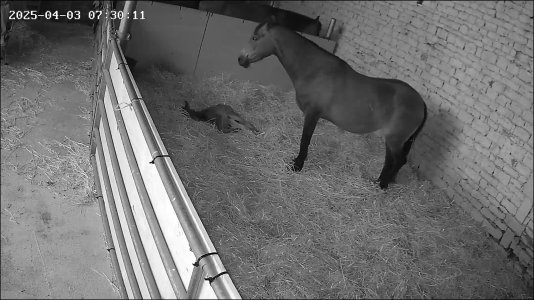 174365821153371.jpg 174365821153371.jpg