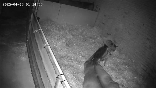 174363569554745.jpg 174363569554745.jpg