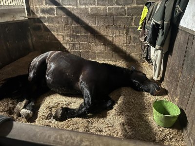 Stable 2.jpg Stable 2.jpg