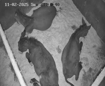 IMG_2050.jpeg IMG_2050.jpeg