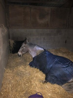 PHOTO-2021-03-23-20-45-25.jpeg PHOTO-2021-03-23-20-45-25.jpeg