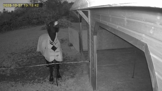 IMG_5238.jpeg IMG_5238.jpeg