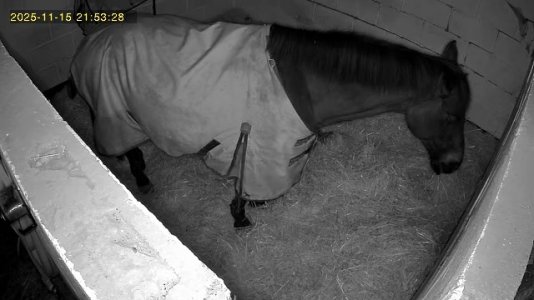 IMG_0272.jpeg IMG_0272.jpeg