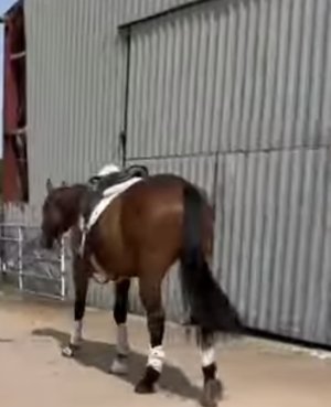 IMG_4948.jpeg IMG_4948.jpeg