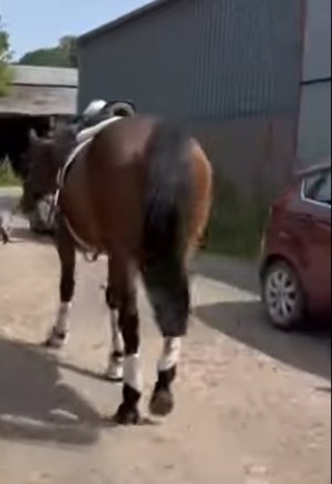 IMG_4947.jpeg IMG_4947.jpeg