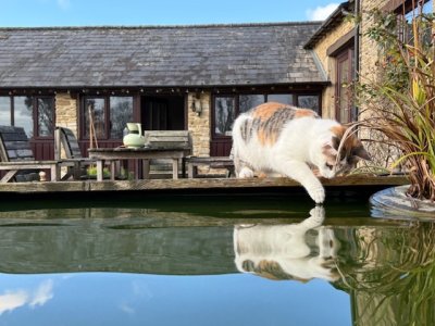 IMG_4518.jpeg IMG_4518.jpeg