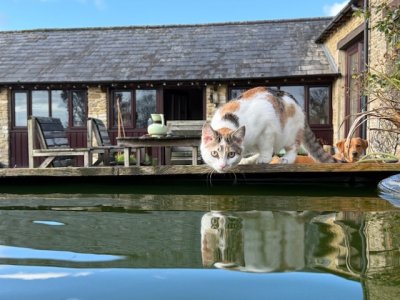 IMG_4517.jpeg IMG_4517.jpeg