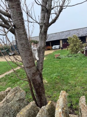 IMG_4497.jpeg IMG_4497.jpeg