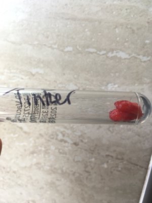 IMG_6361.jpeg IMG_6361.jpeg