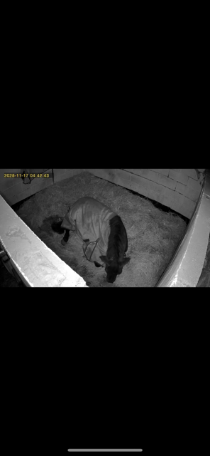 IMG_0301.png IMG_0301.png