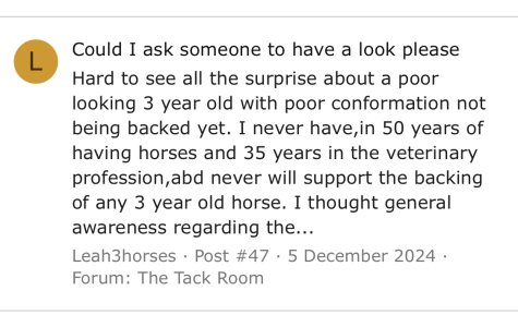 IMG_1377.jpeg IMG_1377.jpeg