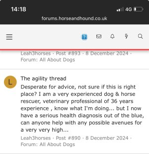 IMG_1376.jpeg IMG_1376.jpeg