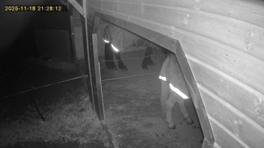 IMG_5649.jpeg IMG_5649.jpeg