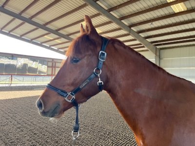 IMG_3342.jpeg IMG_3342.jpeg