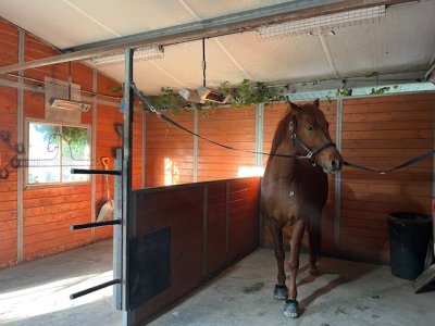 IMG_3306.jpeg IMG_3306.jpeg