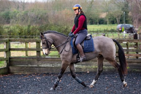 Twix 28Nov19 13s.jpg Twix 28Nov19 13s.jpg