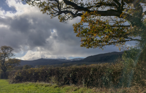 Screenshot_20251120-150635-727.png Screenshot_20251120-150635-727.png