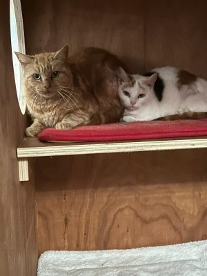 FB_IMG_1763727307864.jpg FB_IMG_1763727307864.jpg