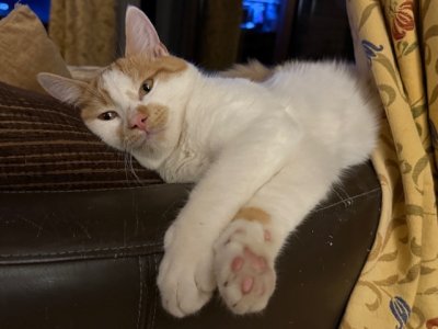 IMG_4639.jpeg IMG_4639.jpeg