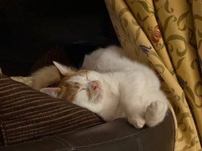 IMG_4636.jpeg IMG_4636.jpeg